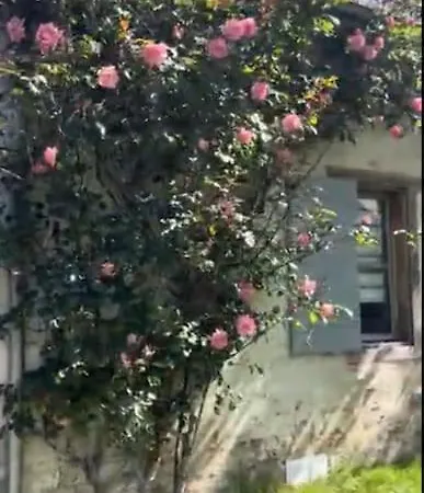 Villa Bergerie La Bourdette Labassère