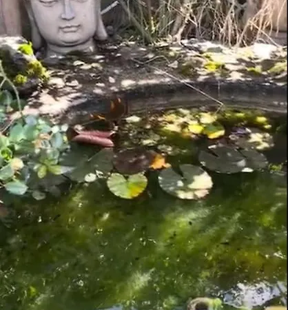 Bergerie La Bourdette Villa *